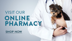 Best online pharmacy for hot sale dogs